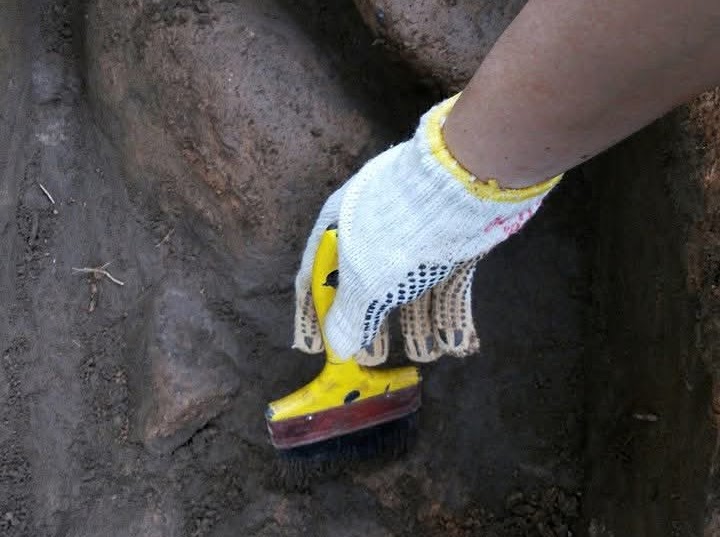 arqueologia